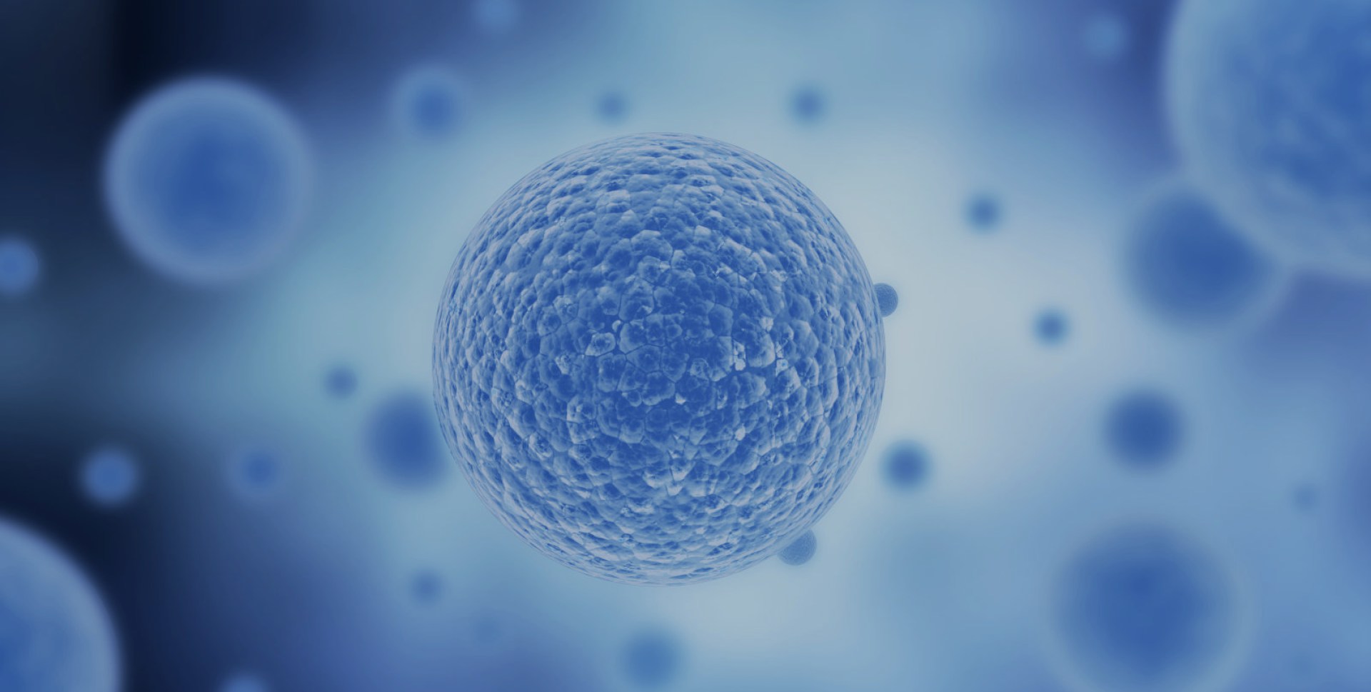 88858cc永利科技集团股份有限公司